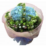 AMS012 :  我的寶貝 - 藍繡球花束